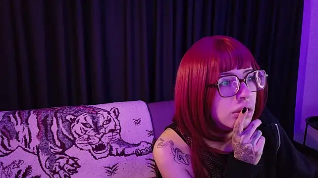 Show Webcam de amimodee
