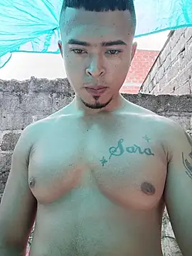 Show de webcam de Royer