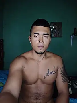 Show Webcam de Royer