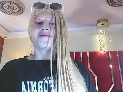 MEGANEVANS05n Webbikameraesitys