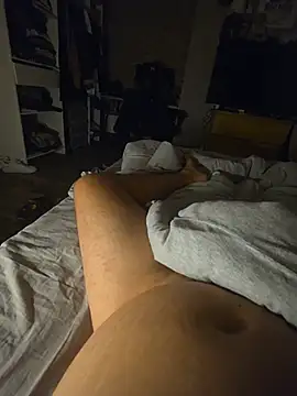 Show webcam de S_45000n