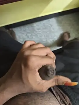Spicy-Cock 웹캠 쇼