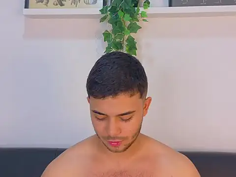 TylerWest_n Webbikameraesitys