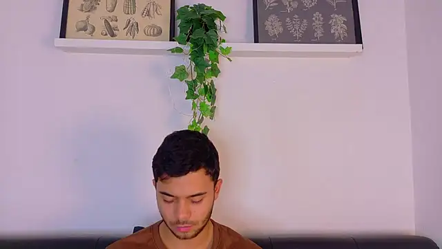 Show webcam de TylerWest_
