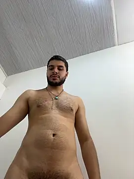 AmadeoWild Webcam-Show