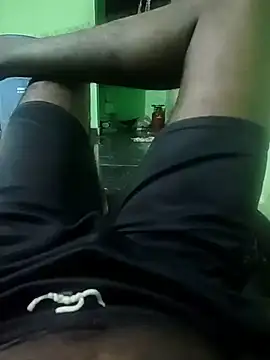 DenseElement35 Webcam Show