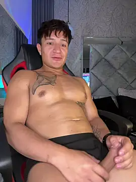 Show webcam de Hassbyd