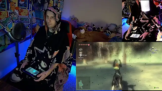 MrFrizby6211 Webcam show