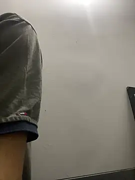 הופעת וובקאם של CAMILO__21