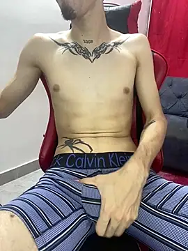 Show webcam de CAMILO__21