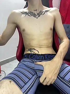 Show de CAMILO__21 na webcam