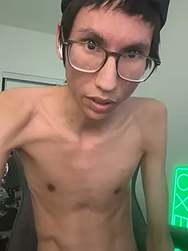 Noodlecxn Webbikameraesitys