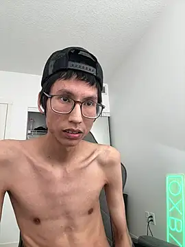 Noodlecxn Webbikameraesitys