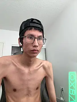 Show de Noodlecx na webcam