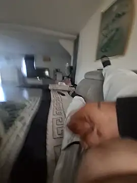 swingpar45 Webcam show