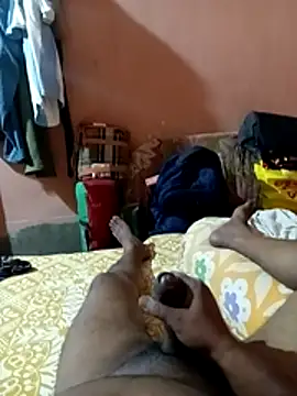 عرض كام palsland