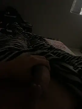 consologgn Webbikameraesitys