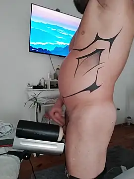 Show Webcam de L4tinoSensu4l45