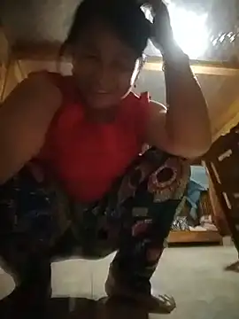 tweranal10n Webbikameraesitys