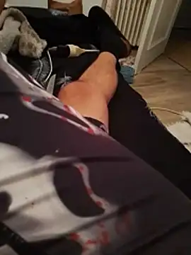zorro93n Webbikameraesitys