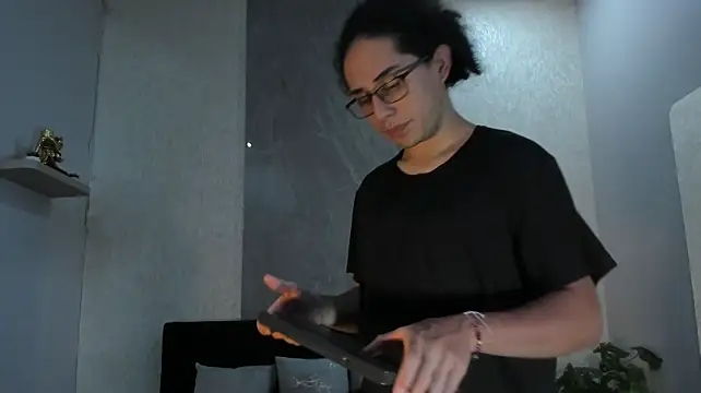 Nicola_Sartorin Webbikameraesitys