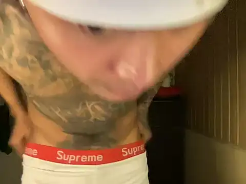 Ceesteve_hot webcam show