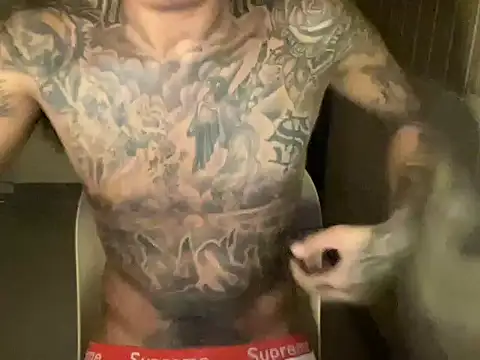 Ceesteve_hot Webcam show