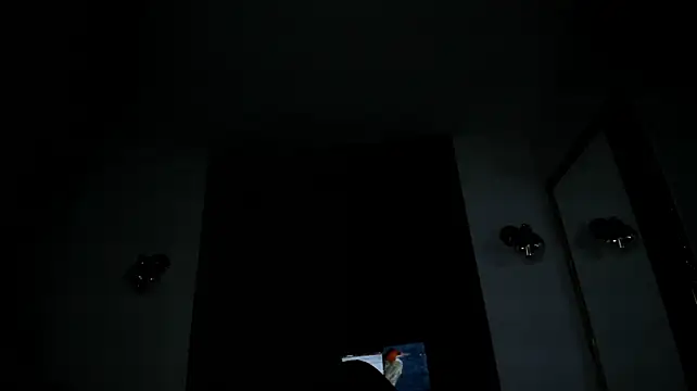 LionBlackkn Webbikameraesitys