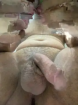 הופעת וובקאם של Bigdickchainsmoker