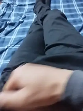Heavydick27 Show in webcam