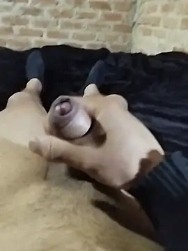 Heavydick27 Webcam show