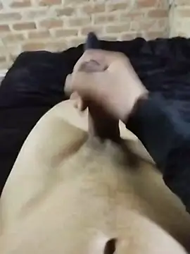 Show modela Heavydick27 na web-kameri
