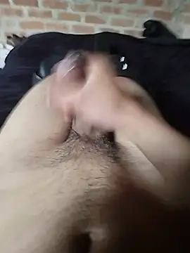 Heavydick27 Webcamshow