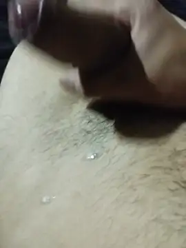 Heavydick27 Webcam-Show