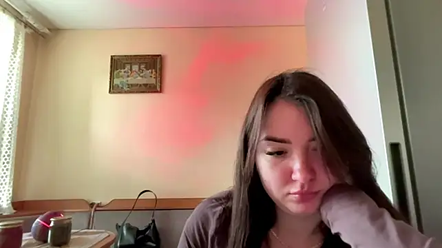 Hillaryn Webbikameraesitys