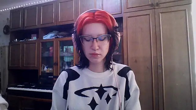 Show webcam de ParisGotowka