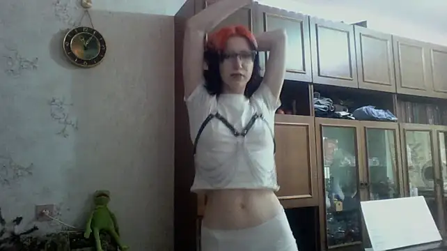 Show Webcam de ParisGotowka