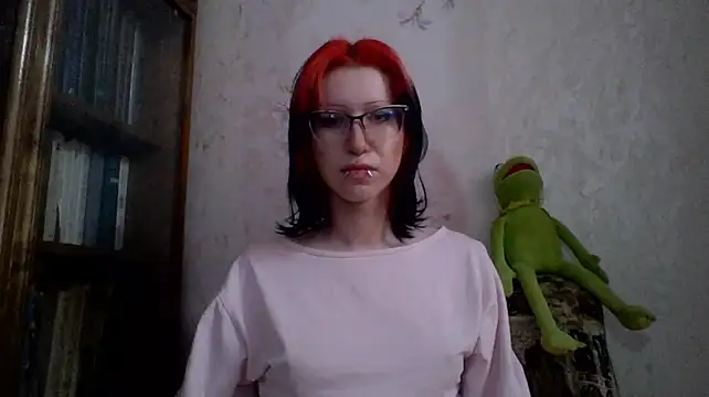 Show Webcam de ParisGotowka