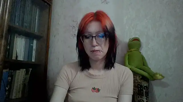 Show webcam de ParisGotowka