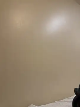 Webkamerová show MSCHF666