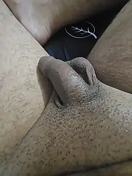 unknown_telugu_boy webcam show