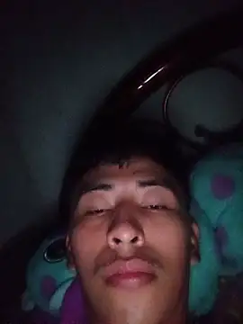 Bucher250 webcam show
