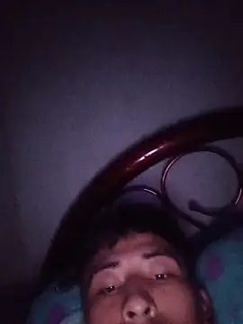 Bucher250 Webcam show
