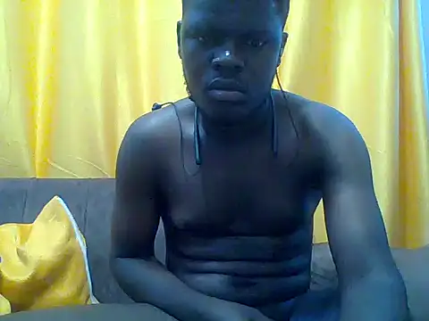 Taller_dark Show Webcam