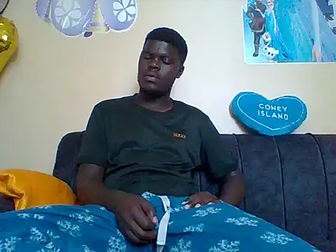 Show webcam de Taller_dark