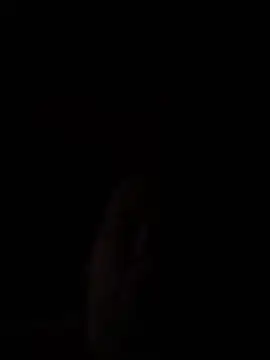 Laurynas2024 Webcam Show