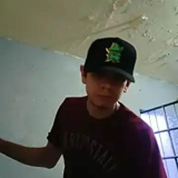 Show de webcam de krak