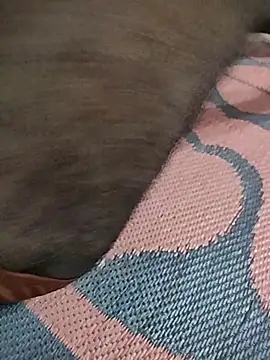 itakenのウェブカメラショー