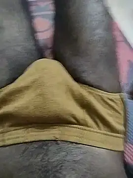 Show webcam de itaken