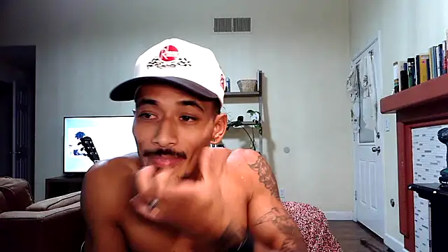 Show webcam de N1KK0444